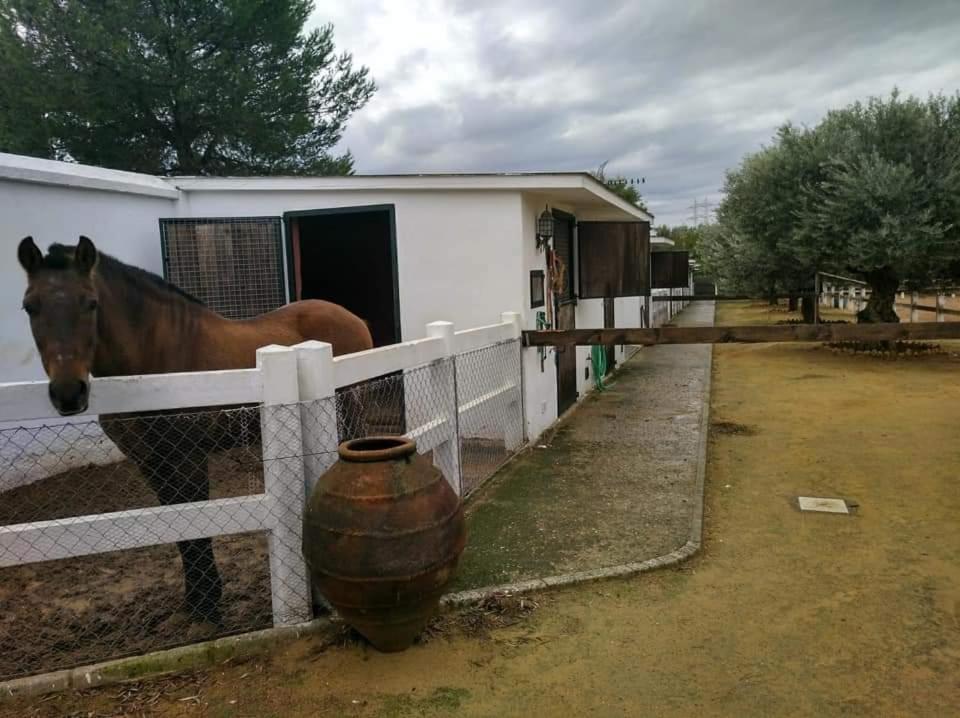 Finca Rural La Canera 16 Huespedes Sevilla Exteriér fotografie